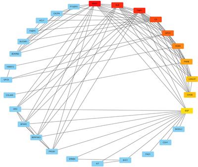 LGALS1 was related to the prognosis of clear cell renal cell carcinoma identified by weighted correlation gene network analysis combined with differential gene expression analysis